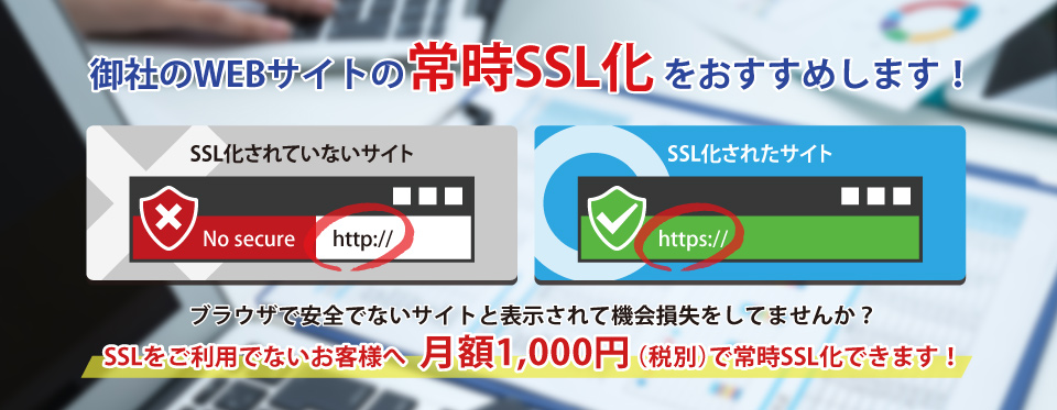 펞SSL